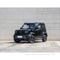 Chinese high speed car EV RWD off-road small electric car